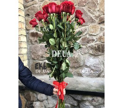 Meter roses red 1