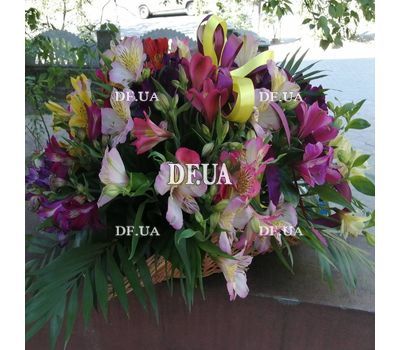 Alstroemeria in the basket - 1