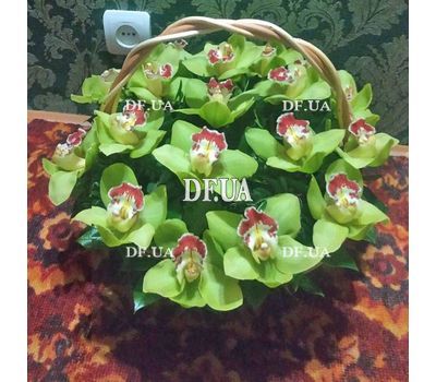 Glorious basket of orchids - view 2