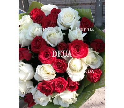 Red and white roses - 1