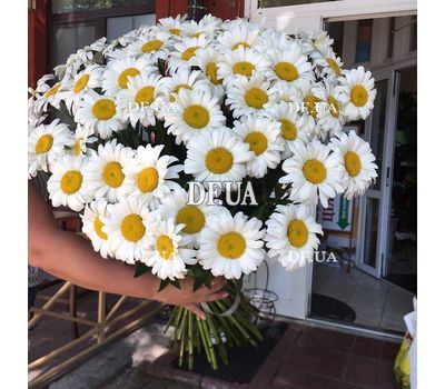 A chic bouquet of chamomiles - view 4