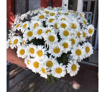 A chic bouquet of chamomiles - view 5