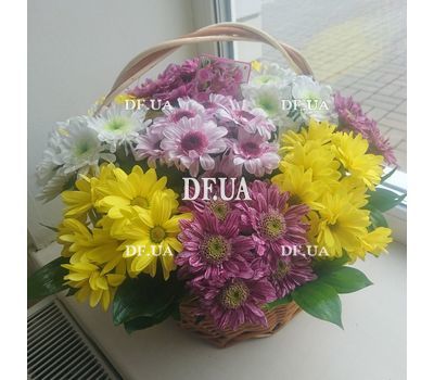 Basket of multi-colored chrysanthemums 7