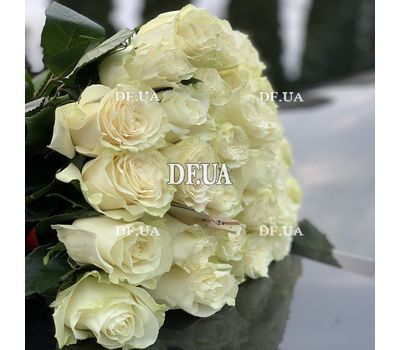 Roses for Birthday Girl 1