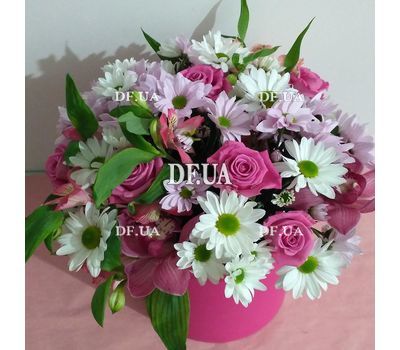 Live flowers in a box 13