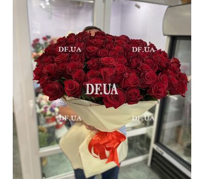 101 Dutch rose 1