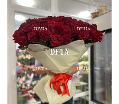101 Dutch rose 2