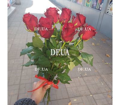 7 red import roses 5