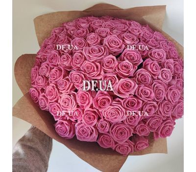 Excellent pink roses 1
