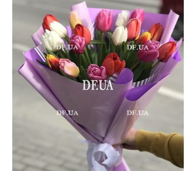 21 tulip - view 12