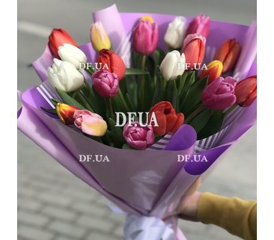 21 tulip - view 13