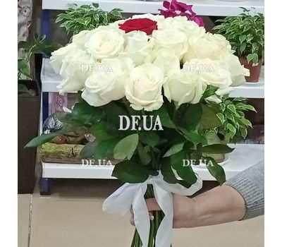 White roses and one red rose 2