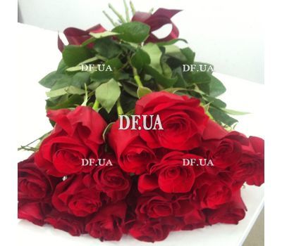 A bouquet of long roses 4