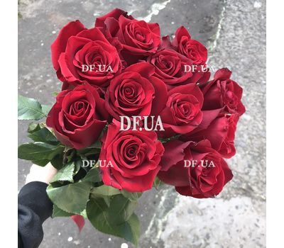 Red roses on a long leg 8
