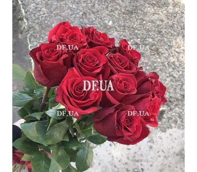 Red roses on a long leg 9