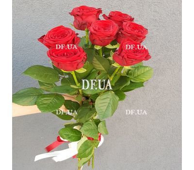 Simple bouquet of 7 roses 7