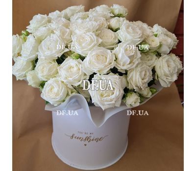 15 bush cream roses in a box 1