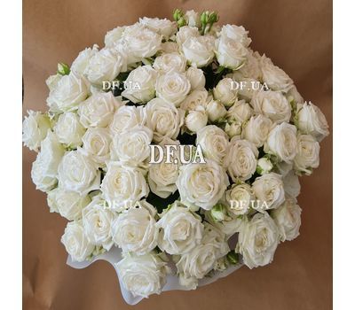 15 bush cream roses in a box 2