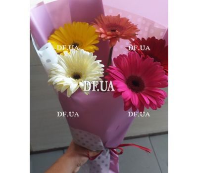 Bouquet of 5 gerberas 3