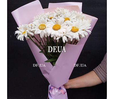 Bouquet of chamomiles 7