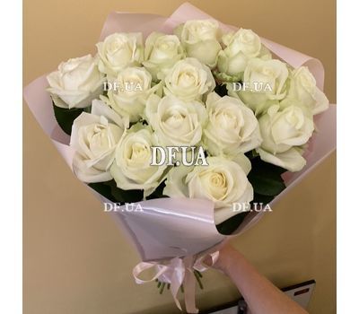 15 white roses 8