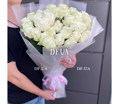 Roses of the variety Wendella 1