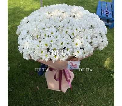 Букет красивых ромашек - вид 5