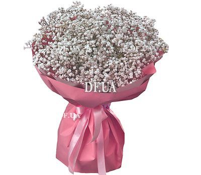15 white gypsophila