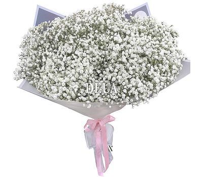 Bouquet 25 gypsophila