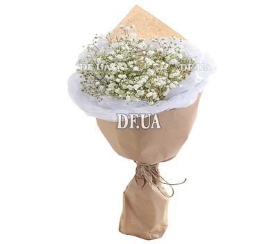 Bouquet of gypsophila