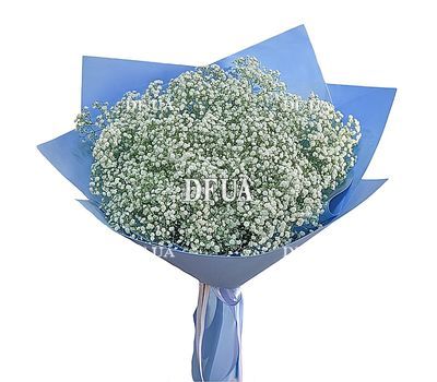 Bouquet of 19 gypsophila