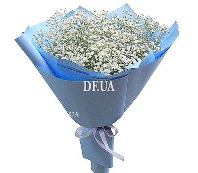 Bouquet of white gypsophila
