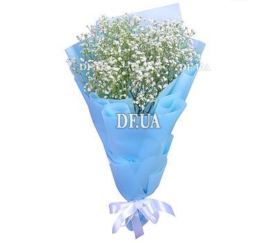Bouquet of gypsophila