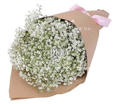 Bouquet of gypsophila in craft
