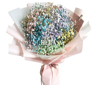 Gypsophila Rainbow
