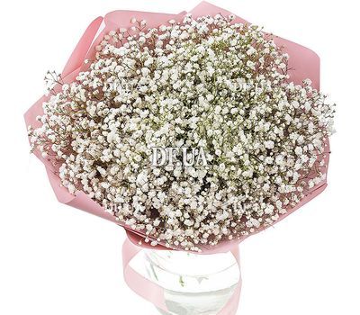 Gypsophila in a bouquet