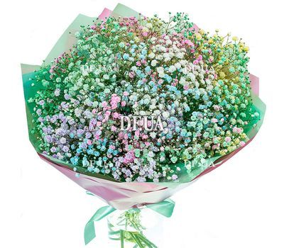 Rainbow gypsophila