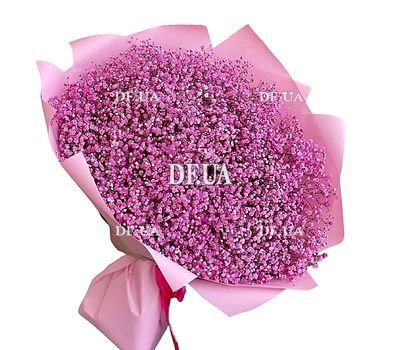 101 pink gypsophila