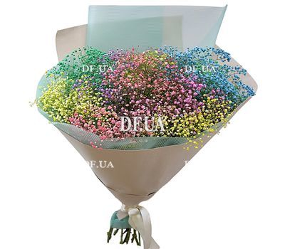 17 rainbow gypsophila