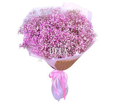 25 pink gypsophila