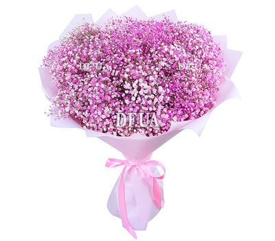 35 pink gypsophila