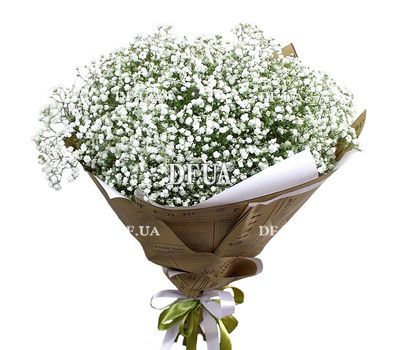 75 white gypsophila