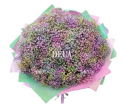 75 colorful gypsophila