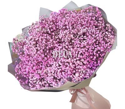 75 pink gypsophila