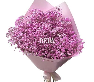 Bouquet of 15 pink gypsophila