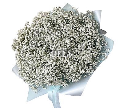 Bouquet of 51 white gypsophila