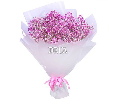 Bouquet of pink gypsophila