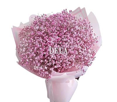 Gypsophila pink in a bouquet