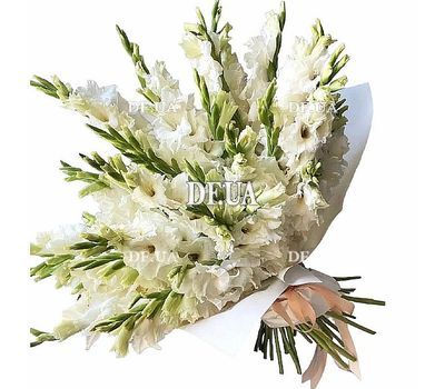 Anniversary white gladiolus