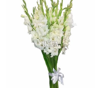 Bouquet of white gladioli